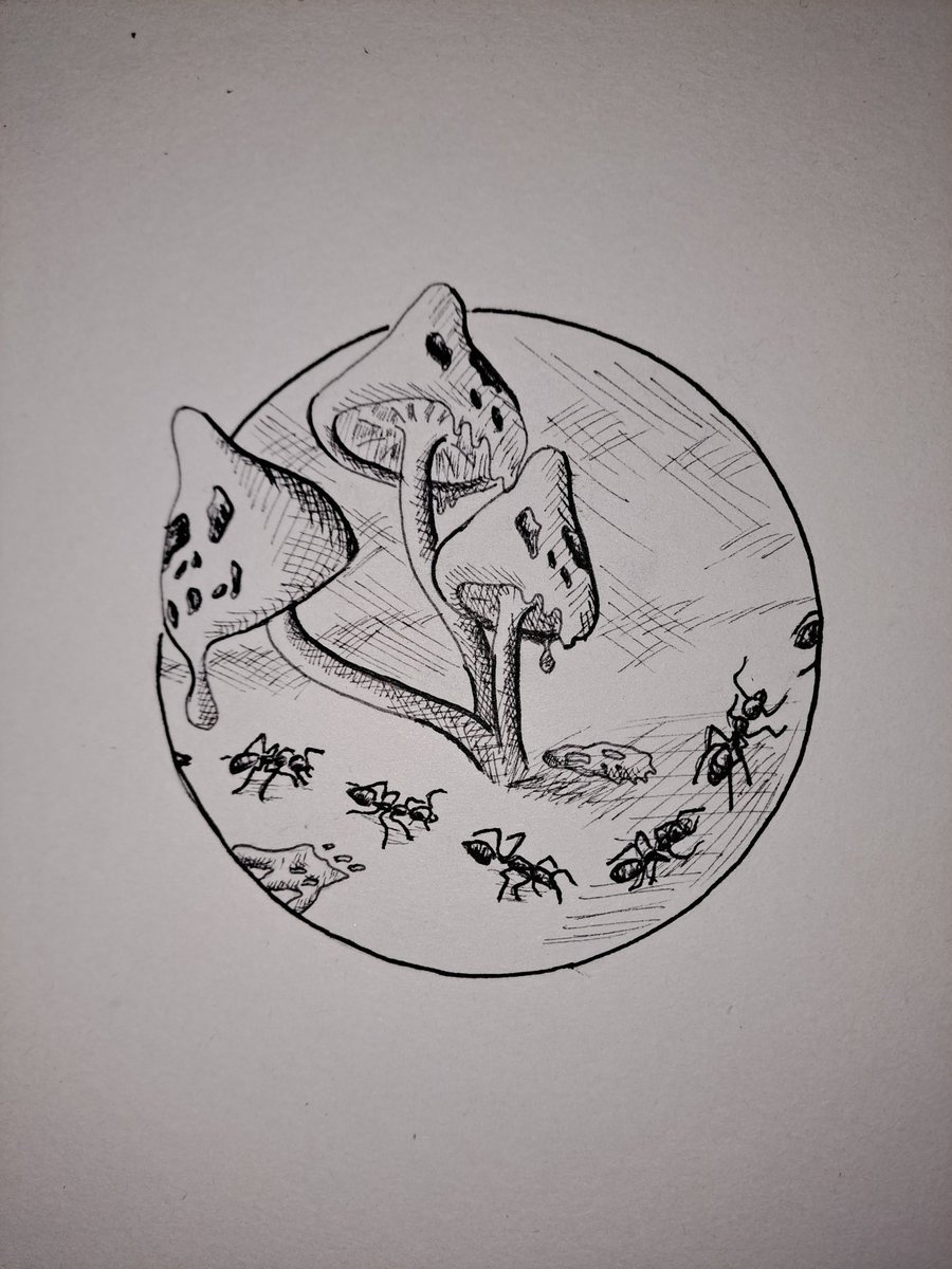 #inktober2023 a zase dvoji zadani Dodge a Path, protoze denne to nejde zvladnout :)
You need to dodge your path so you can keep going