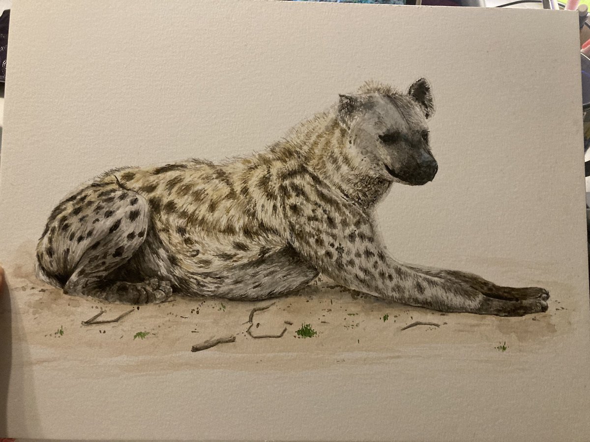 I think the commission is done! What do you think?