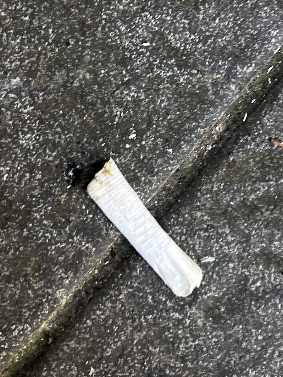 Semi-Professional Trouble Causer tweet media