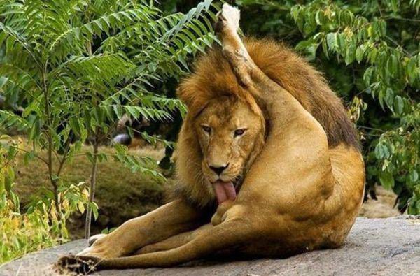 hamidabc's tweet photo. @Tahirmughalpml8 Lol 😂 

شادی کے لیے پیسے جمع کیے تھے جو بجلی کے بلوں میں چلے گئے🔥اب کوئی پٹواری اپنی باجی دا رشتہ دے کر ثواب حاصل کر لے😪دکھی یوتھیا 🤣 https://t.co/TCYROsev8h