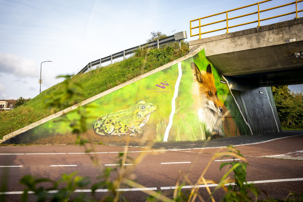 wsrivierenland's tweet image. Wie onder de regionale waterkering ‘Werkense dijk’ in Werkendam doorfietst kan het zien: de graffiti van artiest Diederick Bax. De afgelopen jaren hadden we te maken met vernielingen en bekladding. Nu zijn er dieren te bewonderen: van vissen🐠 tot een vogel🐦 en een vos🦊