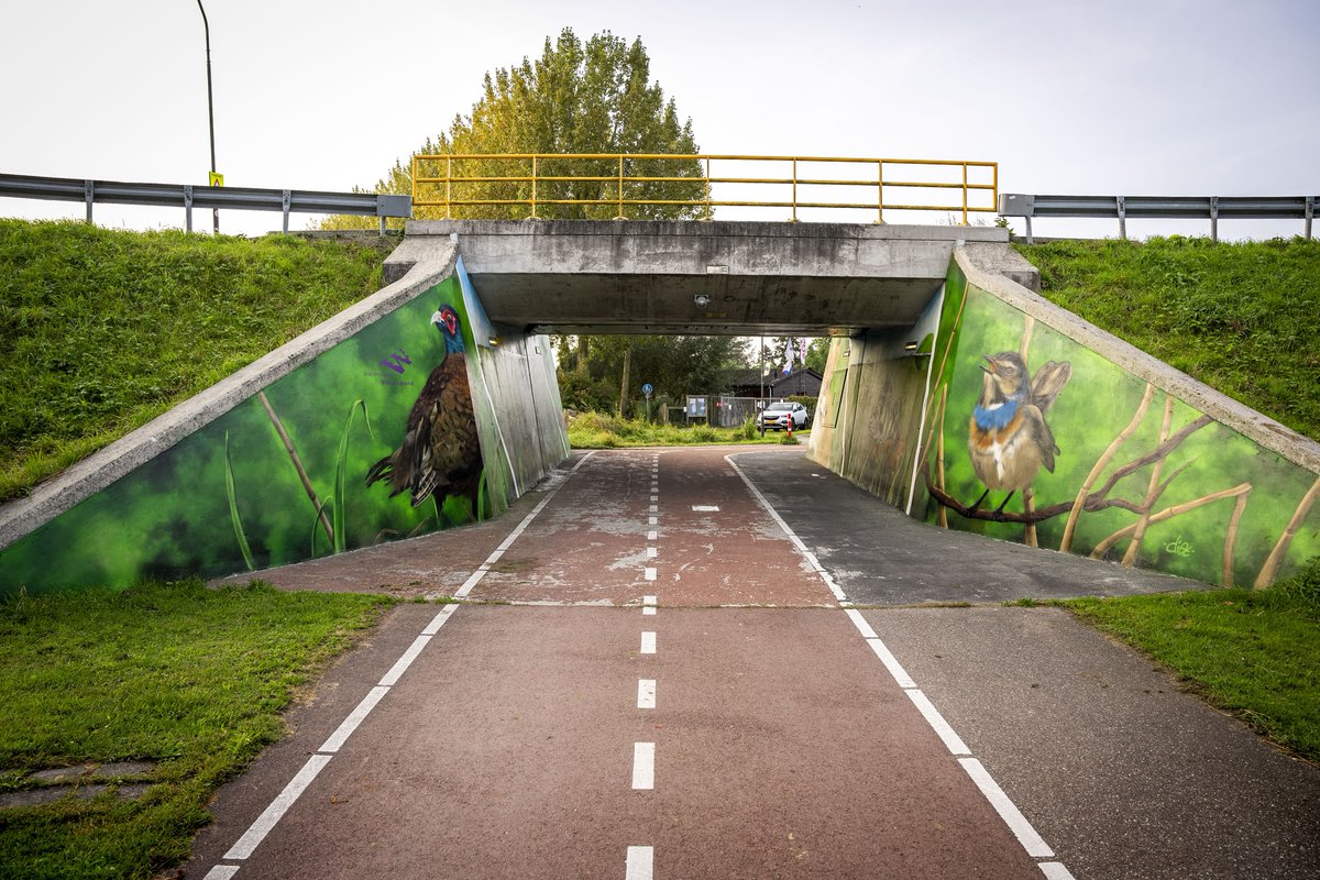 wsrivierenland's tweet image. Wie onder de regionale waterkering ‘Werkense dijk’ in Werkendam doorfietst kan het zien: de graffiti van artiest Diederick Bax. De afgelopen jaren hadden we te maken met vernielingen en bekladding. Nu zijn er dieren te bewonderen: van vissen🐠 tot een vogel🐦 en een vos🦊
