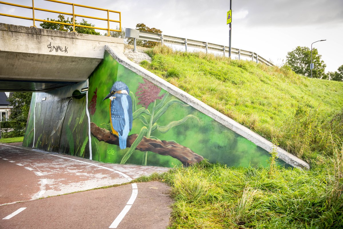 wsrivierenland's tweet image. Wie onder de regionale waterkering ‘Werkense dijk’ in Werkendam doorfietst kan het zien: de graffiti van artiest Diederick Bax. De afgelopen jaren hadden we te maken met vernielingen en bekladding. Nu zijn er dieren te bewonderen: van vissen🐠 tot een vogel🐦 en een vos🦊