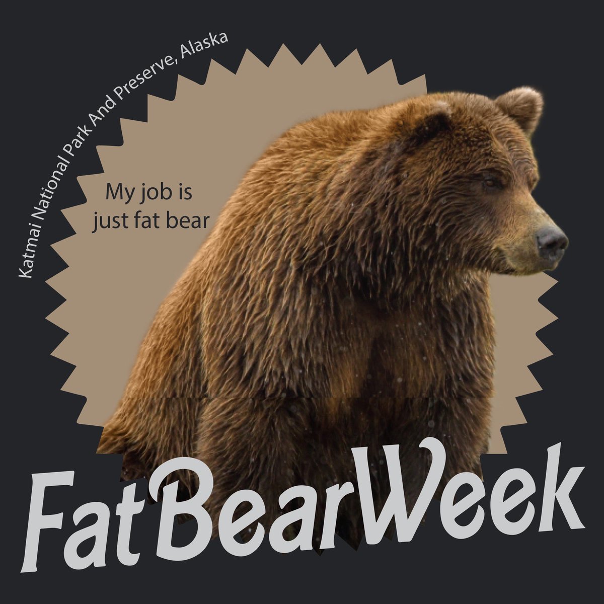 Today's the day! Every fall, @KatmaiNPS in Alaska hosts #FatBearWeek, an annual tournament celebrating the success of the bears winter prep.