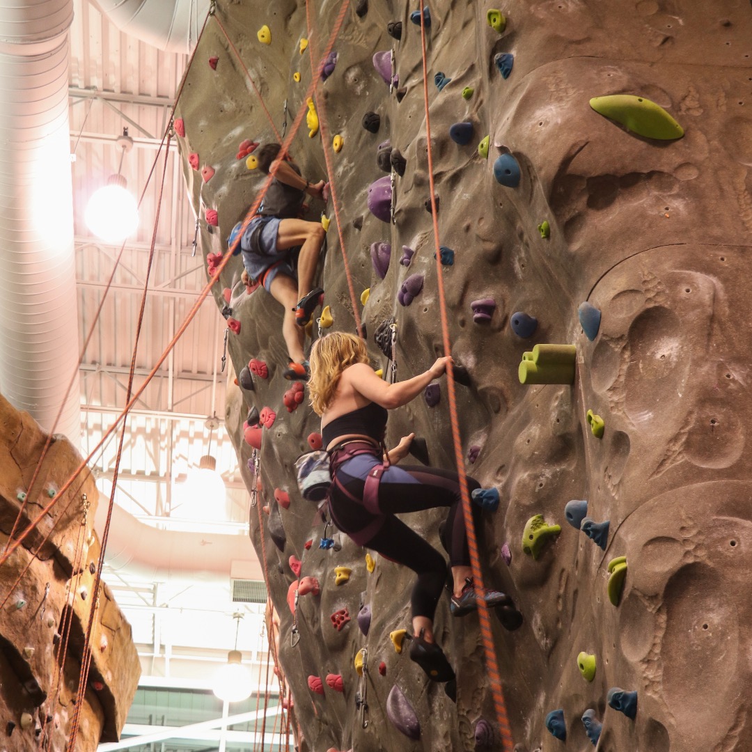 TU Campus Rec tweet media