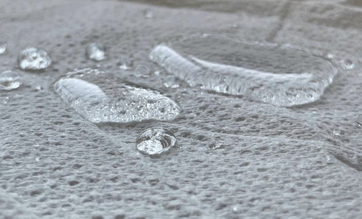 Breaking down barriers and replacing them with “Green gold” <a href="/Cellulotech/">Cellulotech</a> has developed a scalable, sustainable solution for paper products using cellulose, the most abundant organic compound on earth.

Learn more about this material of the future: tinyurl.com/33fd7uej