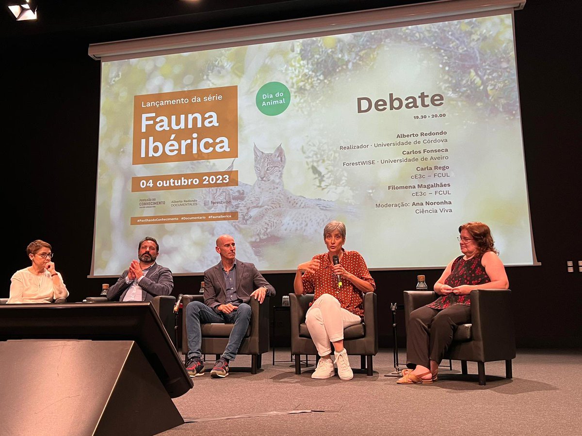 Manolo Torralbo tweet media