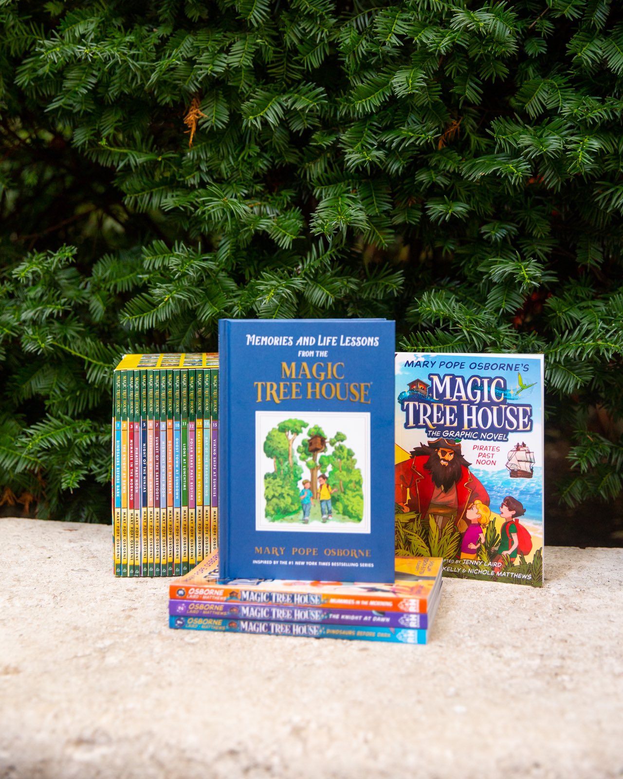 Magic Tree House Boxed Set, Books 1-4: by Mary Pope Osborne