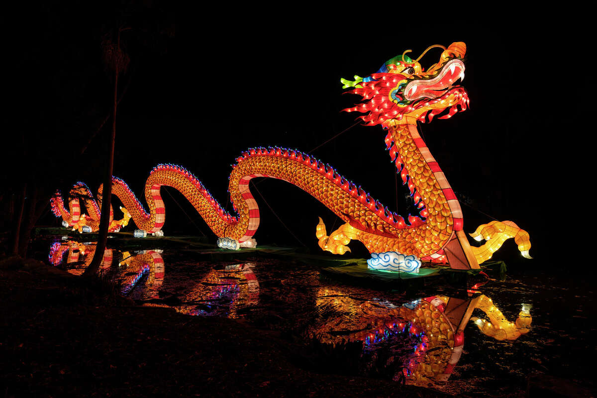 'Radiant Nature' honors Lunar New Year at Houston Botanic Garden with 50+ Chinese lantern displays <a href="/houstonbotanic/">Houston Botanic Garden</a> <a href="/HoustonChron/">Houston Chronicle</a> <a href="/joeyguerra/">Joey Guerra 🪩</a> bit.ly/3PAoE9i