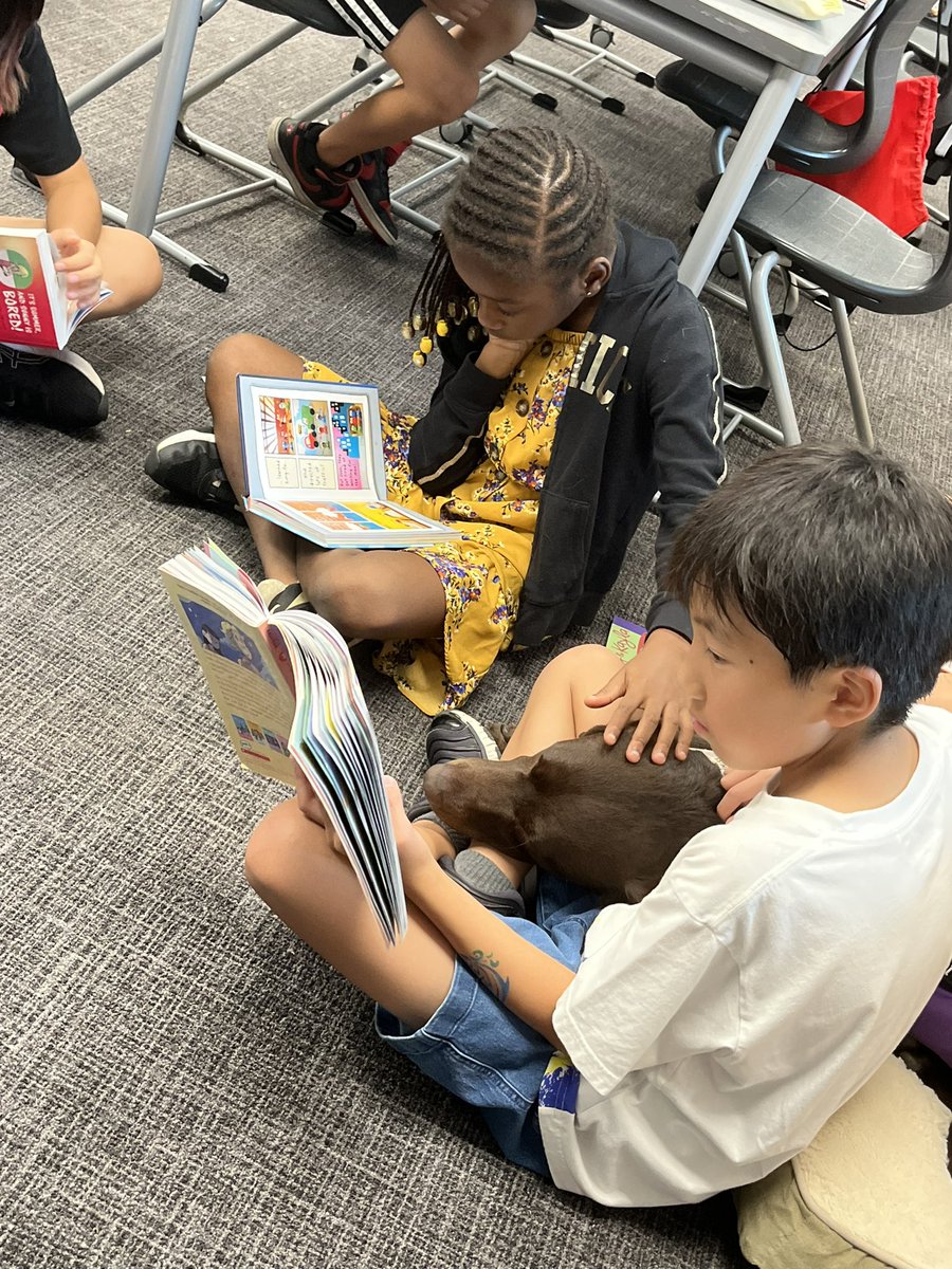 WLCSD Therapy Dogs tweet media