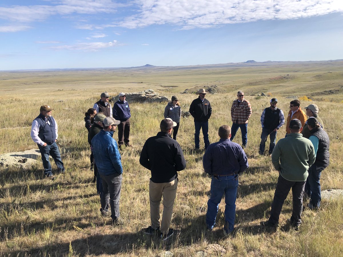 The ⁦@BezosEarthFund⁩ is working with ⁦@NFWFnews⁩ to support local partners and ranchers to conserve and restore native grasslands in the northern Great Plains.