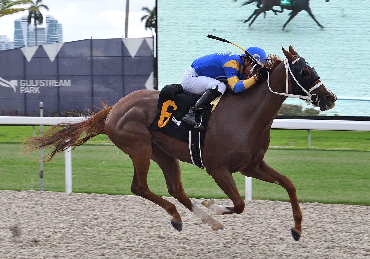 larryzapeye's tweet photo. Nice weekend for ⁦@CaRacingPartner⁩ #BabySteps goes Gate to Wire in nice Handicap race on Synthetic ⁦@GulfstreamPark⁩ #LawAbiding Gate to Wire ⁦@GGFracing⁩ &amp; #MakeitSnow 4th in Unzip Me Stakes ⁦@santaanitapark⁩ ⁦@amanduhmurphy⁩ ⁦@ciagliaracing⁩ https://t.co/axUFOIhhzP