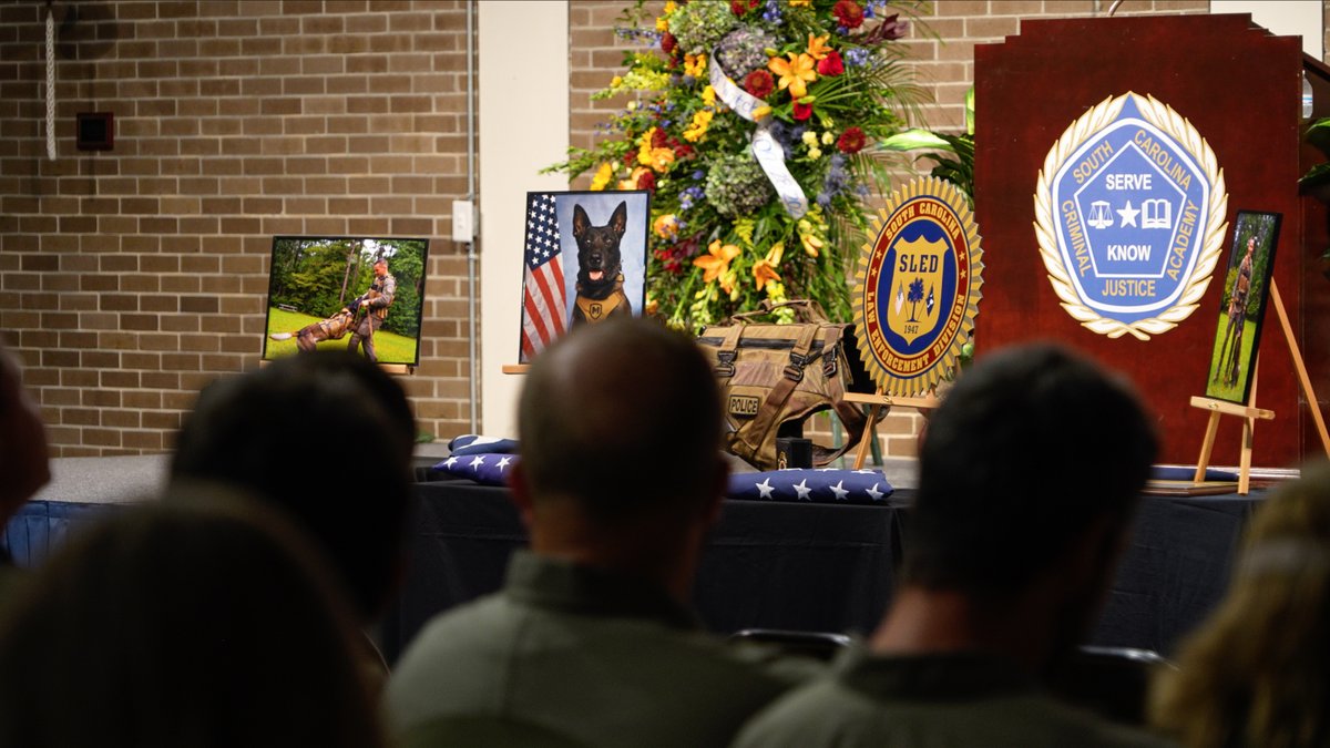 RealAndyFancher's tweet image. While SLED honors the service and sacrifice of their beloved K9 Rico, @fitsnews investigates why his killer wasn't incarcerated four weeks earlier. #SCJudges #SCCourts