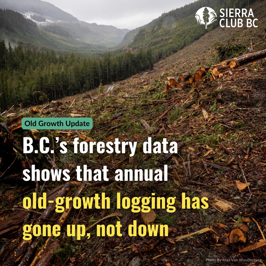 Sierra Club BC tweet media