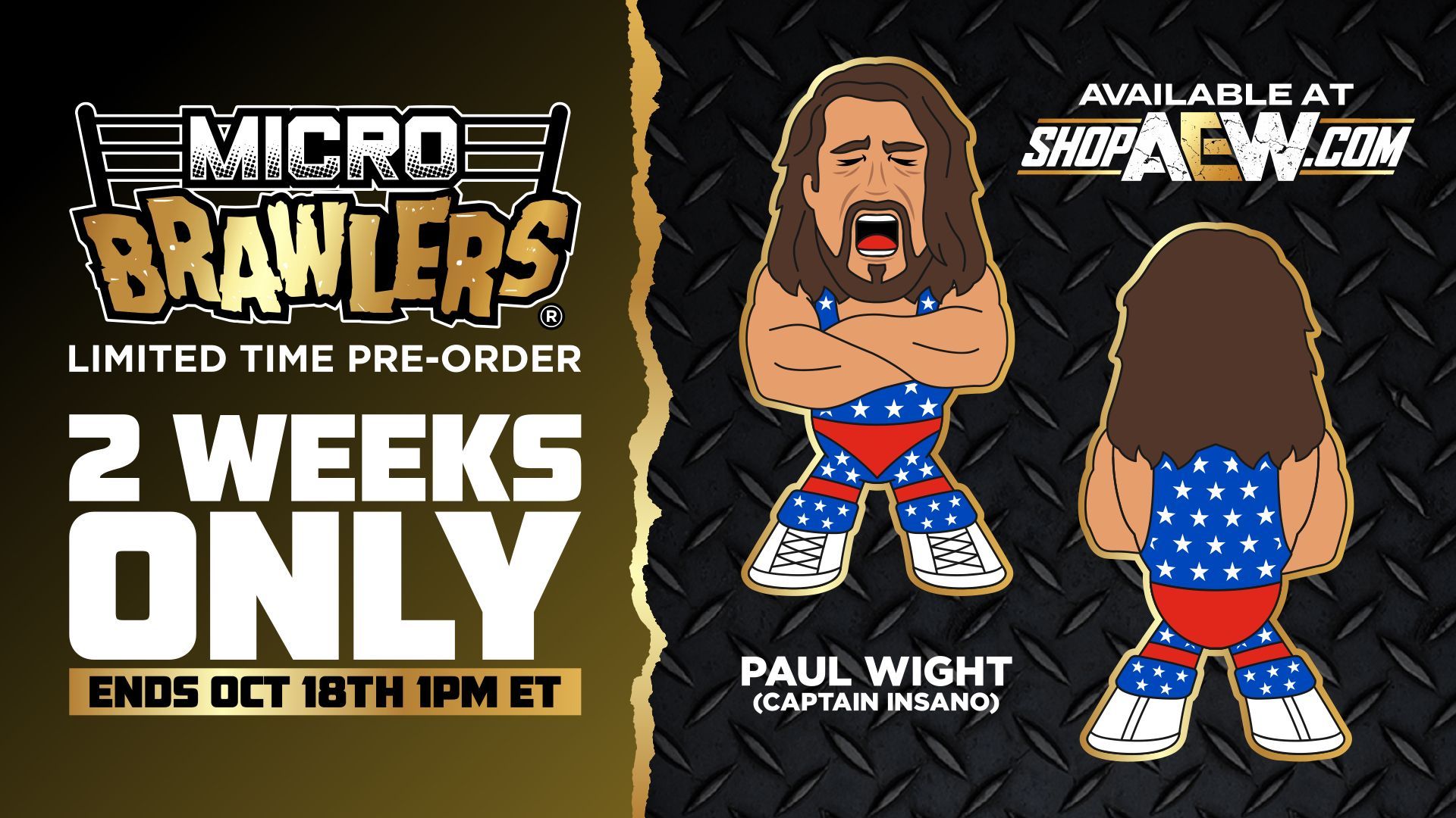 ShopAEW.com on X: The pre-order window for @PaulWight's Captain Insano  Micro Brawlers begins NOW! You have 2 weeks (until Wednesday, October 18th)  to pre-order yours at  #shopaew #aew #aewdynamite  #aewrampage #aewcollision