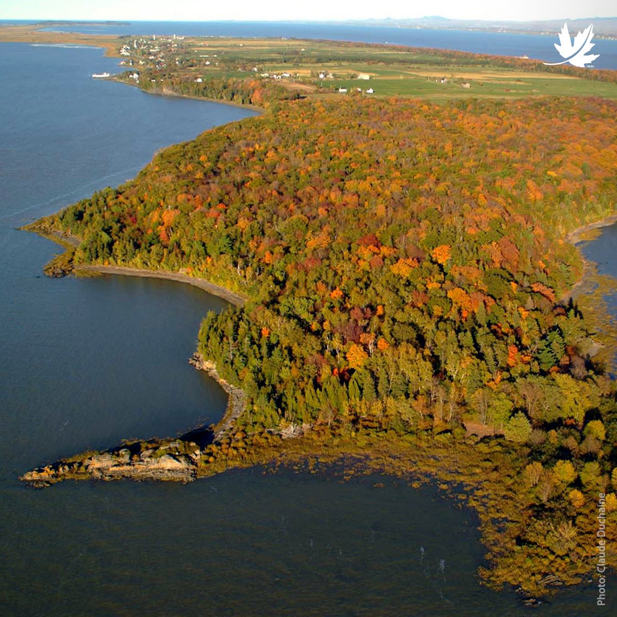 🎂 Célébrons le centenaire qui aura lieu le 7 octobre de Jean-Paul Riopelle en admirant la beauté de la réserve qui porte son nom. Un legs artistique qui perdure dans la nature qui l'a inspiré. 
➡️ brnw.ch/21wDddv 🌟