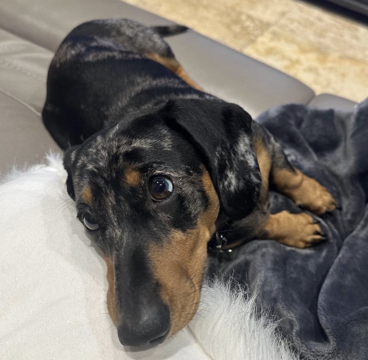 Pfff that was a long Summer, I’m back now !!! ☀️😎