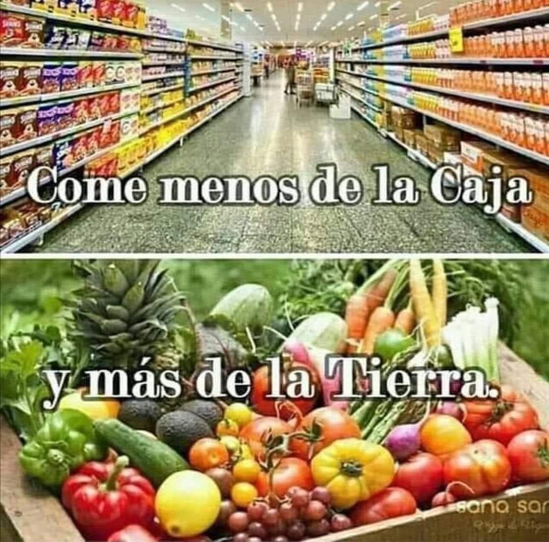 El consumo de  ultraprocesados genera un mayor riesgo de enfermedades  crónicas y cáncer mientras  que las  frutas, verduras,  leguminosas, granos enteros, nueces y semillas confieren un efecto  protector. A  comer saludable  cuidando  el planeta. 🌎#healthyfood #sustainablediet