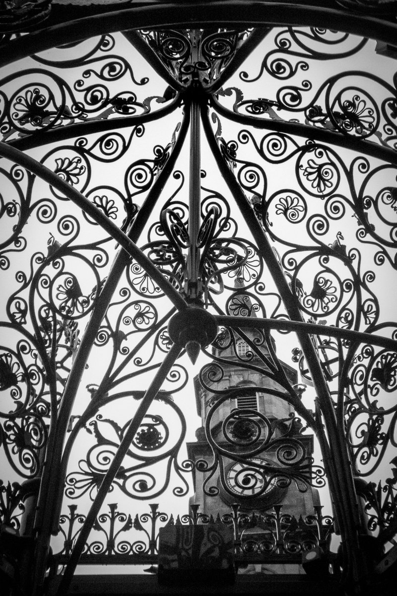 clcart's tweet photo. looking up
#alwayslookingup #10minutesfromhome #365in2023 #streetphotography #blackandwhitephotography #photography #photooftheday https://t.co/Ehyhtwj005