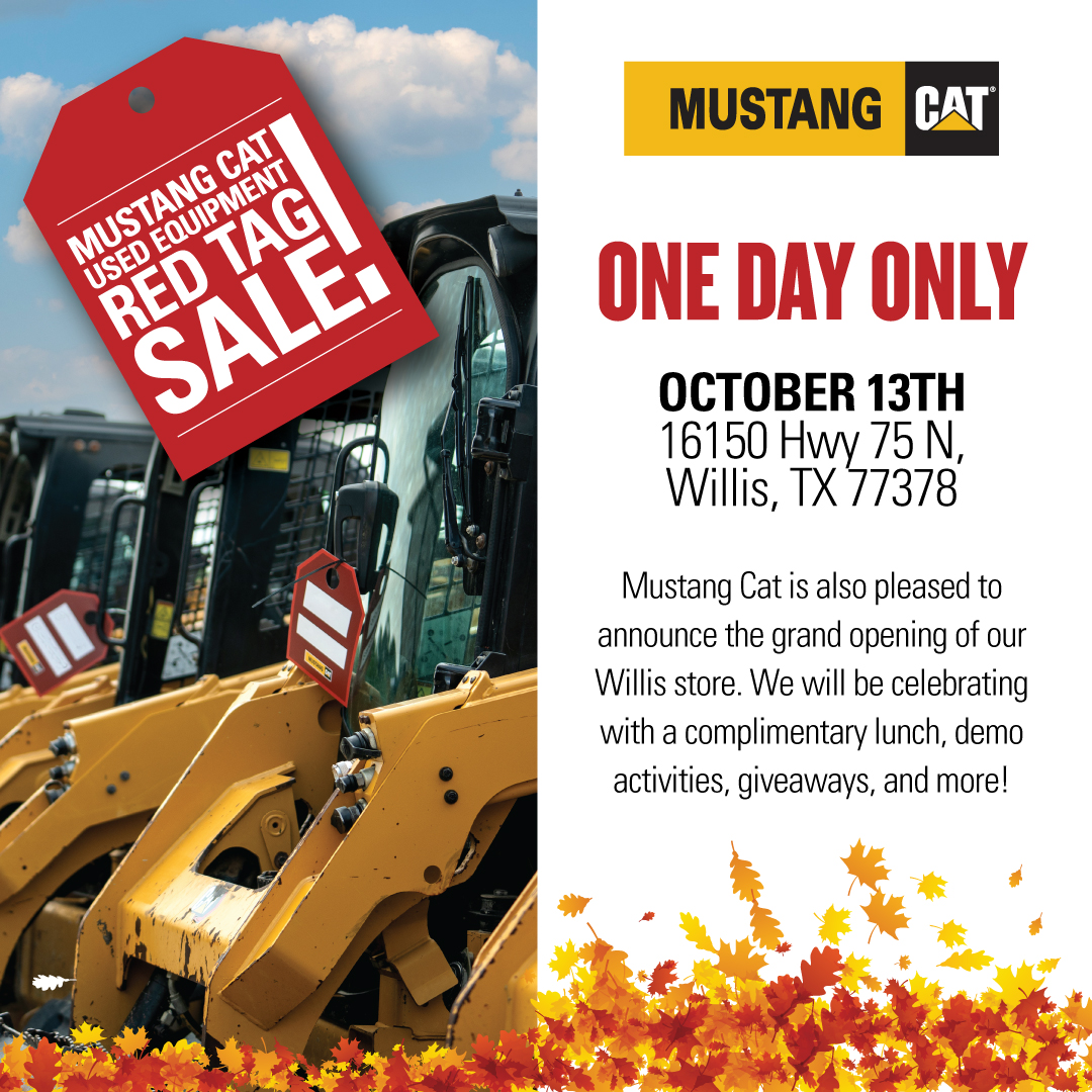 Mustang Cat tweet media