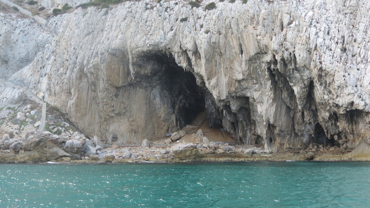 Gibraltar is not only about macaques, but also #endemicwildlife #marinewildlife and #archaeology with Gorham's cave, where Neanderthals used to live  <a href="/Cambridge_Uni/">Cambridge University</a> <a href="/CamBioanth/">CambridgeBioAnth</a> <a href="/UCamArchaeology/">Cambridge Archaeology</a>