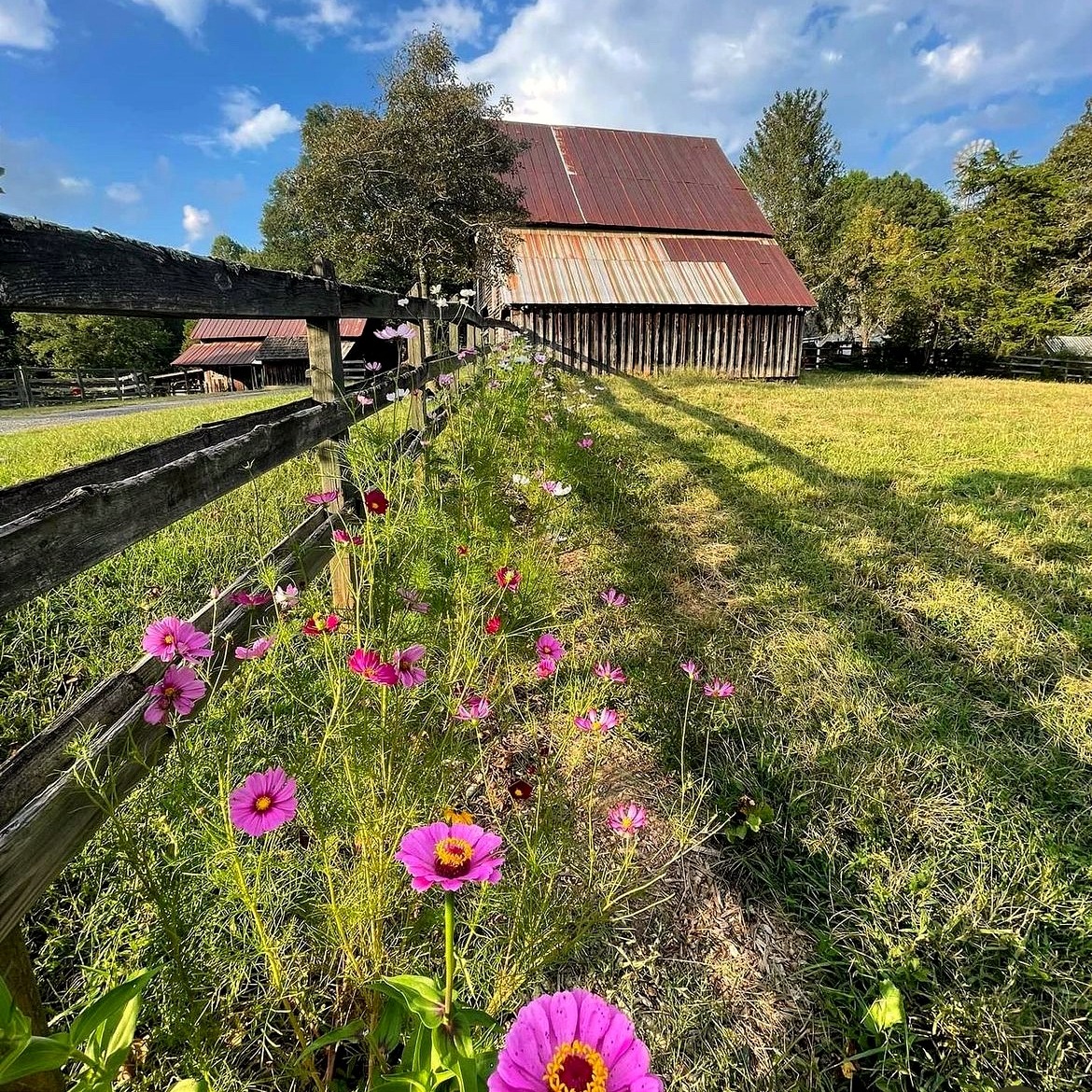 1826farm's tweet photo. 1826's Favorite Time of the Year is Here!

Happy to have had sunshine for our Fall Picnic 🍂

Share with friends looking at venues for their fall event!

#fallonthefarm #farmweddings #northgeorgiafarm
#fallonthefarm #farmweddings #northgeorgiafarm 

https://t.co/t5Vsqd16q4 https://t.co/sV5H1ijHEj