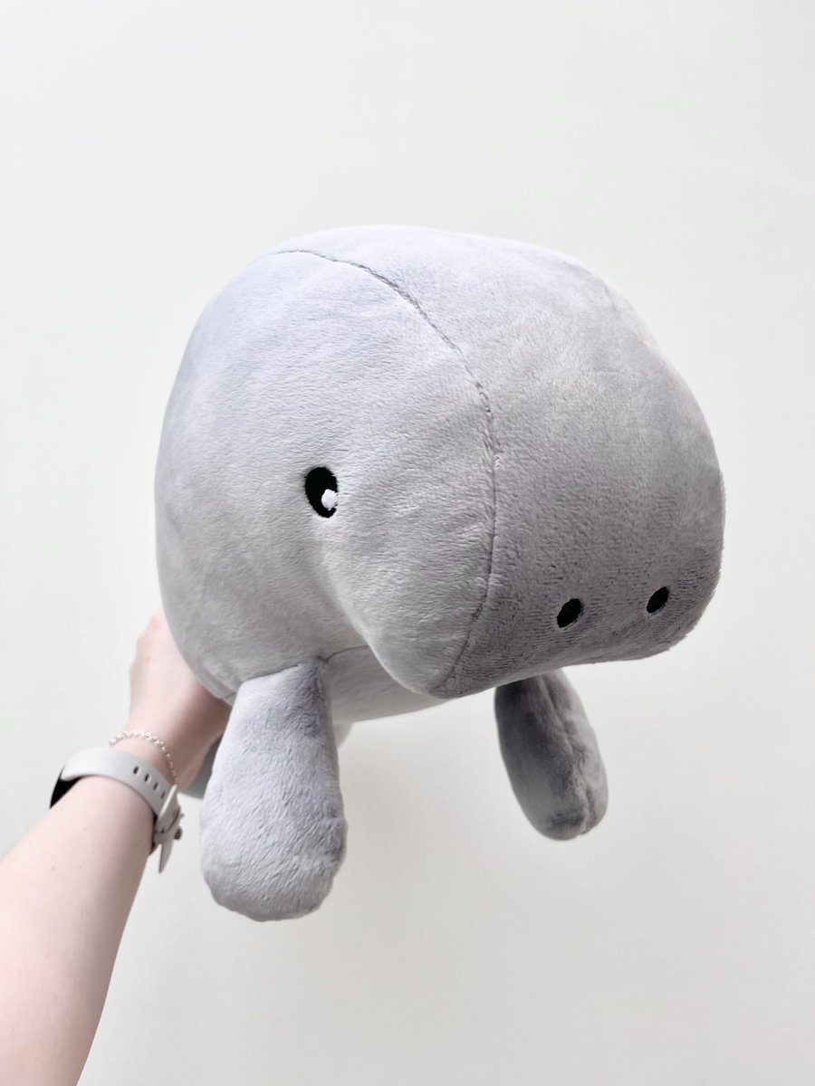 SaltwaterPlush's tweet photo. The blueprint! 🩶

This original grey Medium manatee is on sale now! This silvery grey plush is honestly the softest and most velvety plush I work with - pictures don’t do it justice 

To adopt this baby, go to https://t.co/2EYHaxJzIm 🦭 https://t.co/4fGXpxpzir