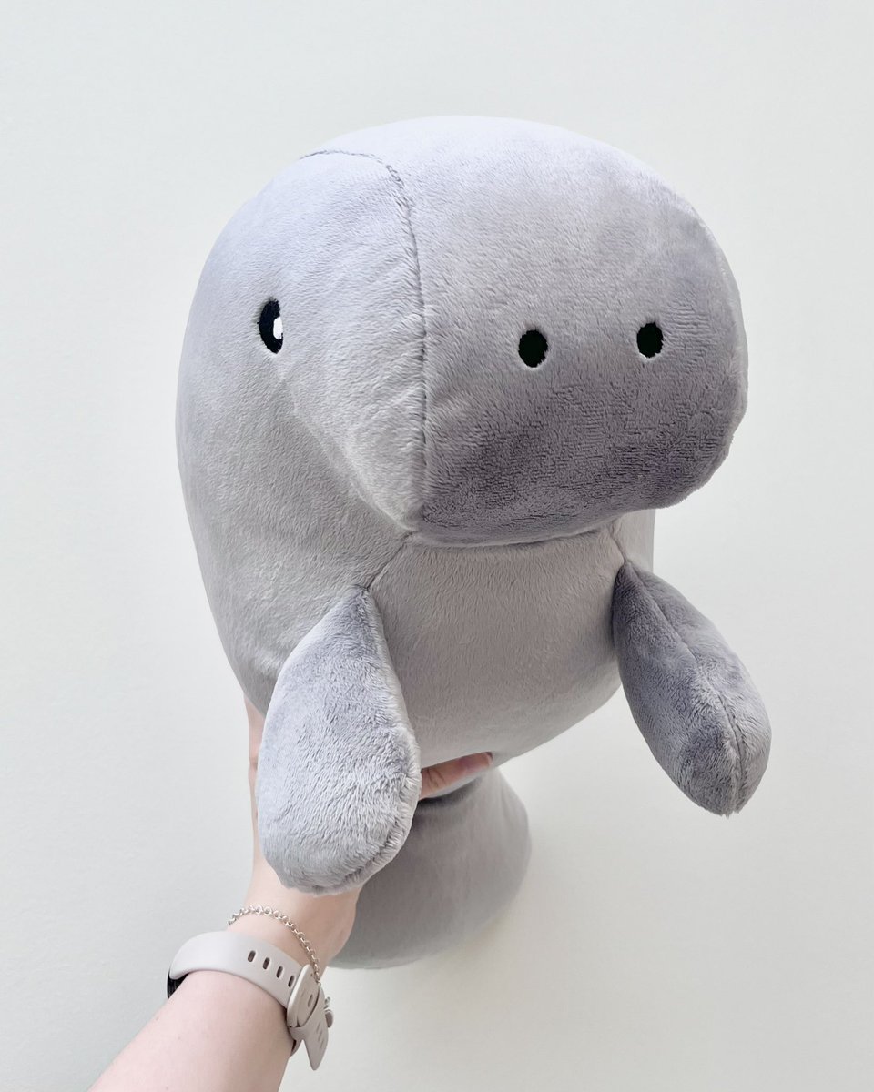 SaltwaterPlush's tweet photo. The blueprint! 🩶

This original grey Medium manatee is on sale now! This silvery grey plush is honestly the softest and most velvety plush I work with - pictures don’t do it justice 

To adopt this baby, go to https://t.co/2EYHaxJzIm 🦭 https://t.co/4fGXpxpzir