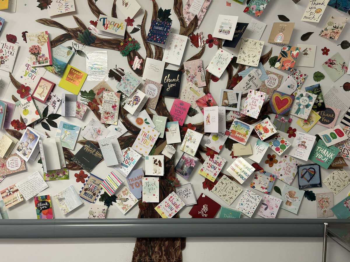 This thank you tree made my morning on AmbCare at QE @uhbtrust, so many cards I couldn’t fit the tree in one photo! From patients, students and colleagues all commenting on the fabulous team. Well done AmbCare!