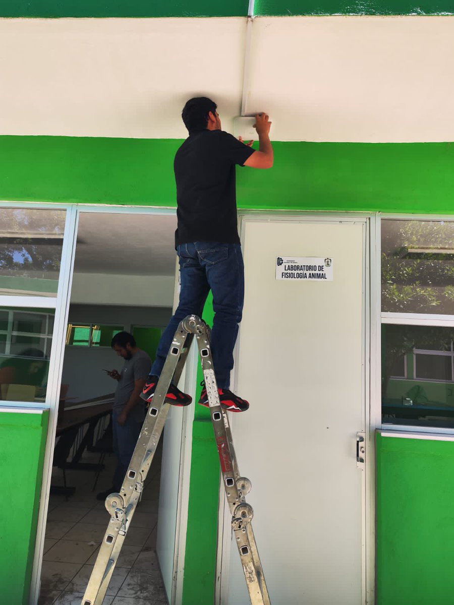 TecNM Campus Altiplano de Tlaxcala tweet media