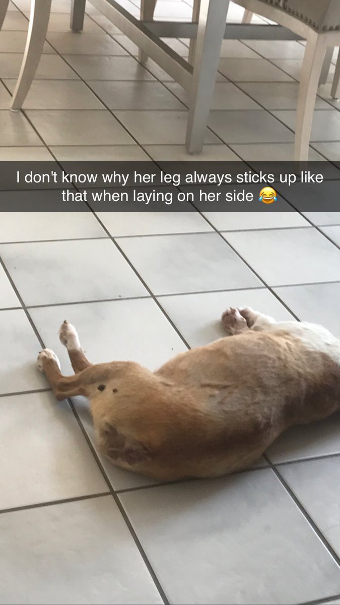 EvilShadowNinja's tweet image. 