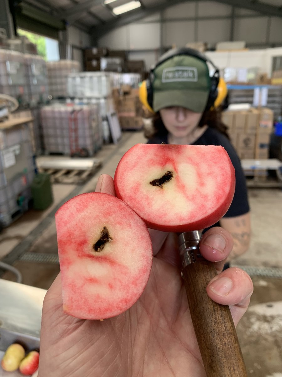 Little Pomona Cider tweet media