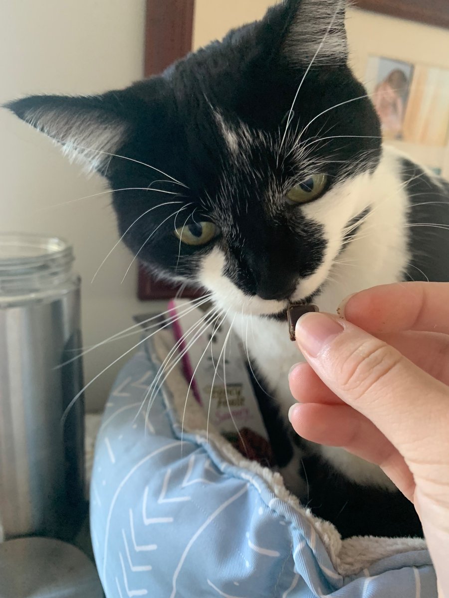 Emily Anne tweet media