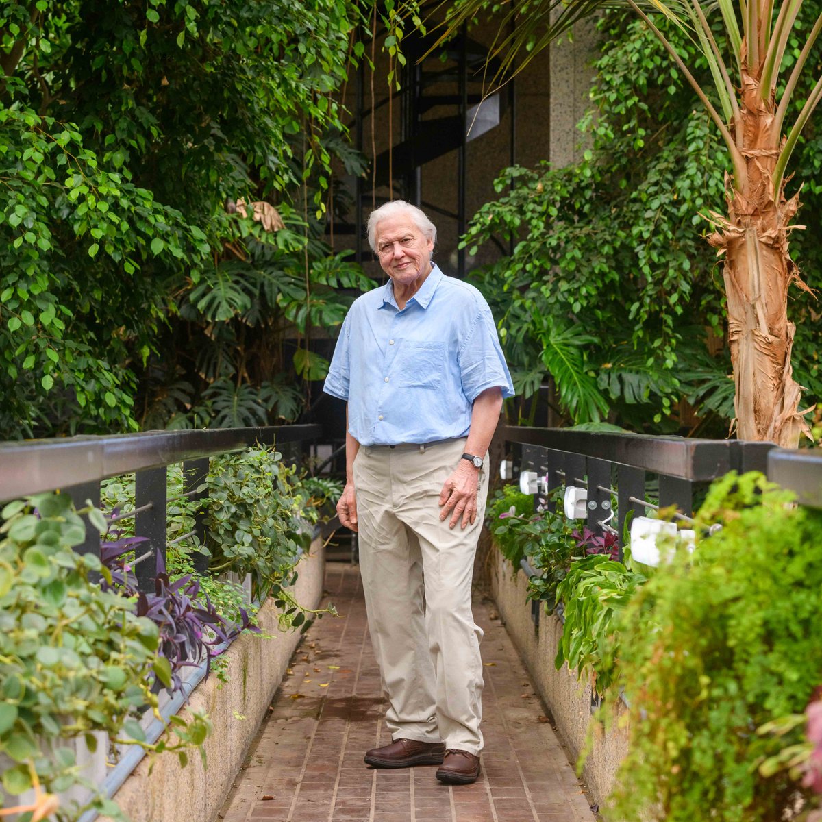 StripeCommunications tweet media