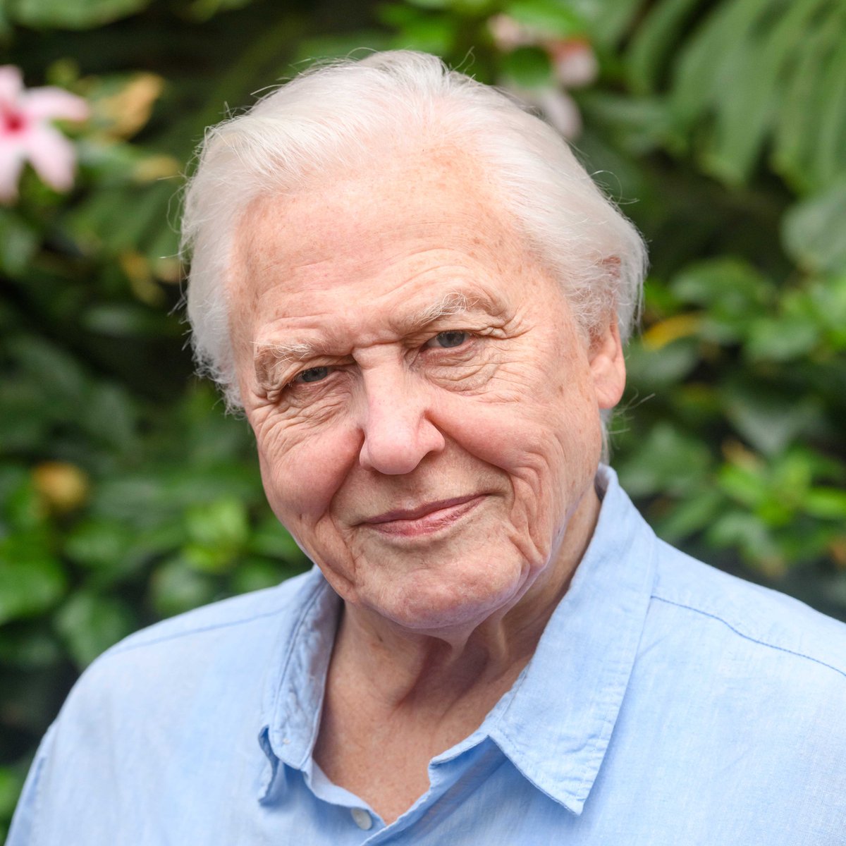 StripeCommunications tweet media