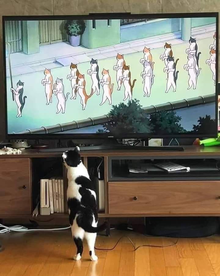 omg
