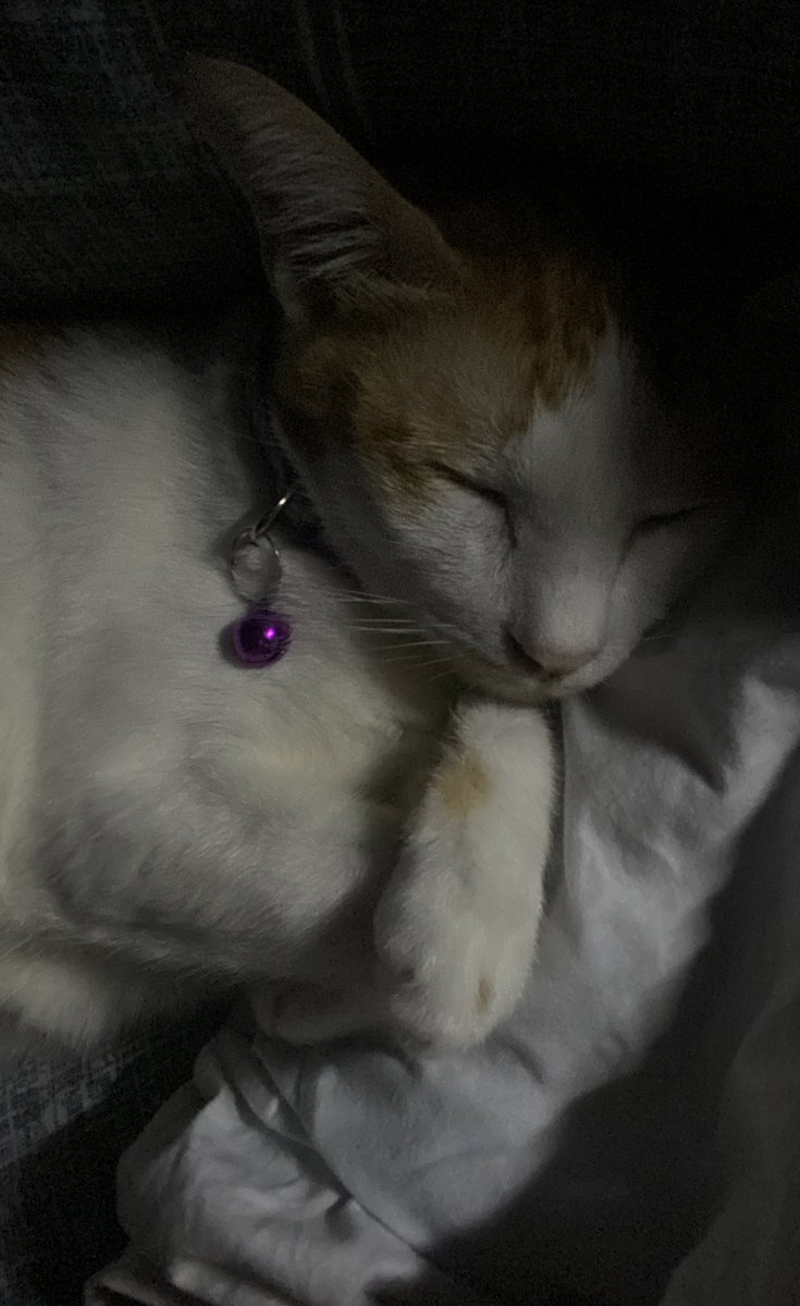 rey (@menosmialma) on Twitter photo 