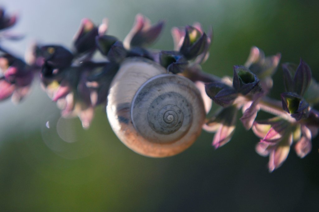 Iryna Masnichuck (@irinamasnichuck) on Twitter photo 