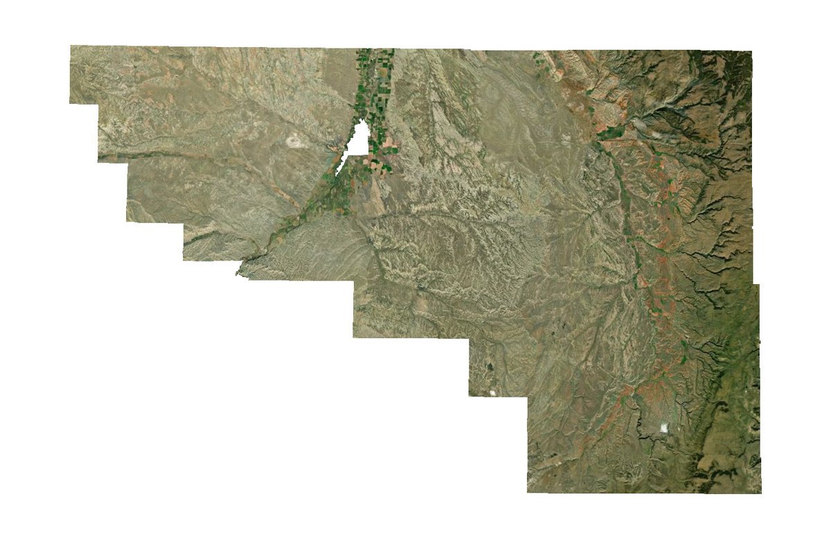 every census tract tweet media