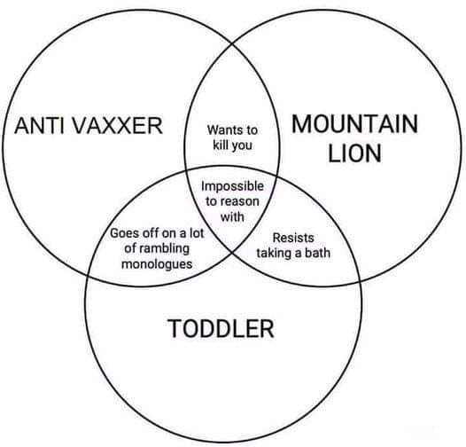 thebigjoe's tweet photo. I figure since there's always a lot of positivity &amp; constructive discourse here, this'd be a good place to drop this fun graph.
#Vaccinewar #vaccine #vax  #facts https://t.co/b1bCUm2hdj