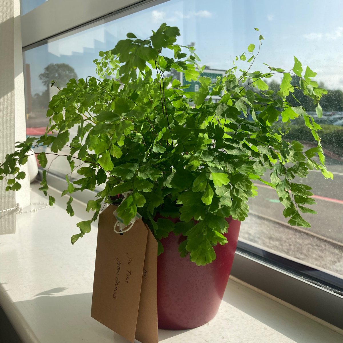 Dr Tom Rawlings tweet media