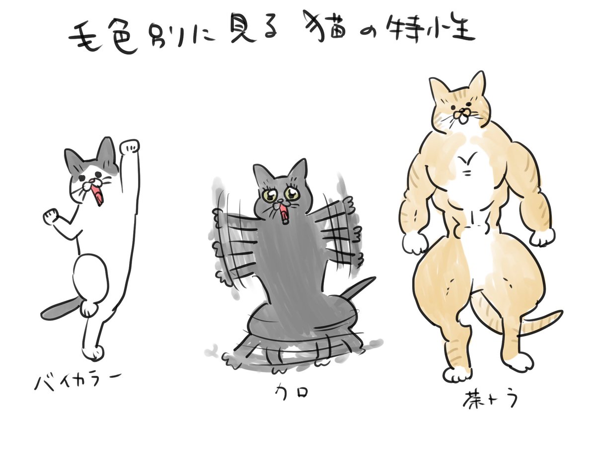 ニュアンスです