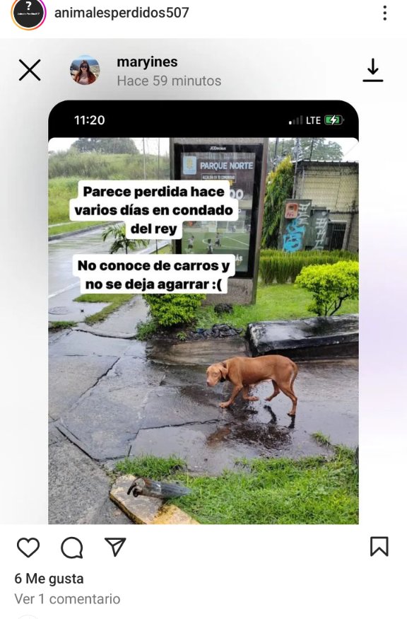 <a href="/sarat1165/">Sara Rugliancich</a> <a href="/SeferinaMelgar/">Seferina Melgar</a> <a href="/edithfirst22/">Mélida 🌺🐾💐</a> <a href="/fundasispma/">Fundación San Francisco de Asís ( FUNDASIS )</a> <a href="/LP19732/">LP1973</a> <a href="/heramito/">Yira Lopez De Leon</a> <a href="/ivetteodalys/">Ivette Berrio</a> <a href="/PatasyPies/">Patas y Pies</a> <a href="/PatasPanama/">Patas Panama</a> <a href="/corazonconhuell/">Corazon Con Huellas</a> <a href="/lindabran1/">Linda Bran</a> <a href="/mascotaspanama/">mascotas panama</a>