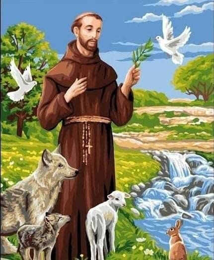 affonso72's tweet photo. Hoje é Dia de São Francisco de Assis #saofranciscodeassis https://t.co/3gO1soITBJ