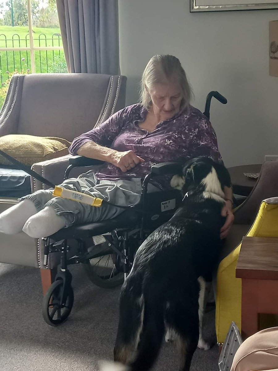 jenny&finch tweet media