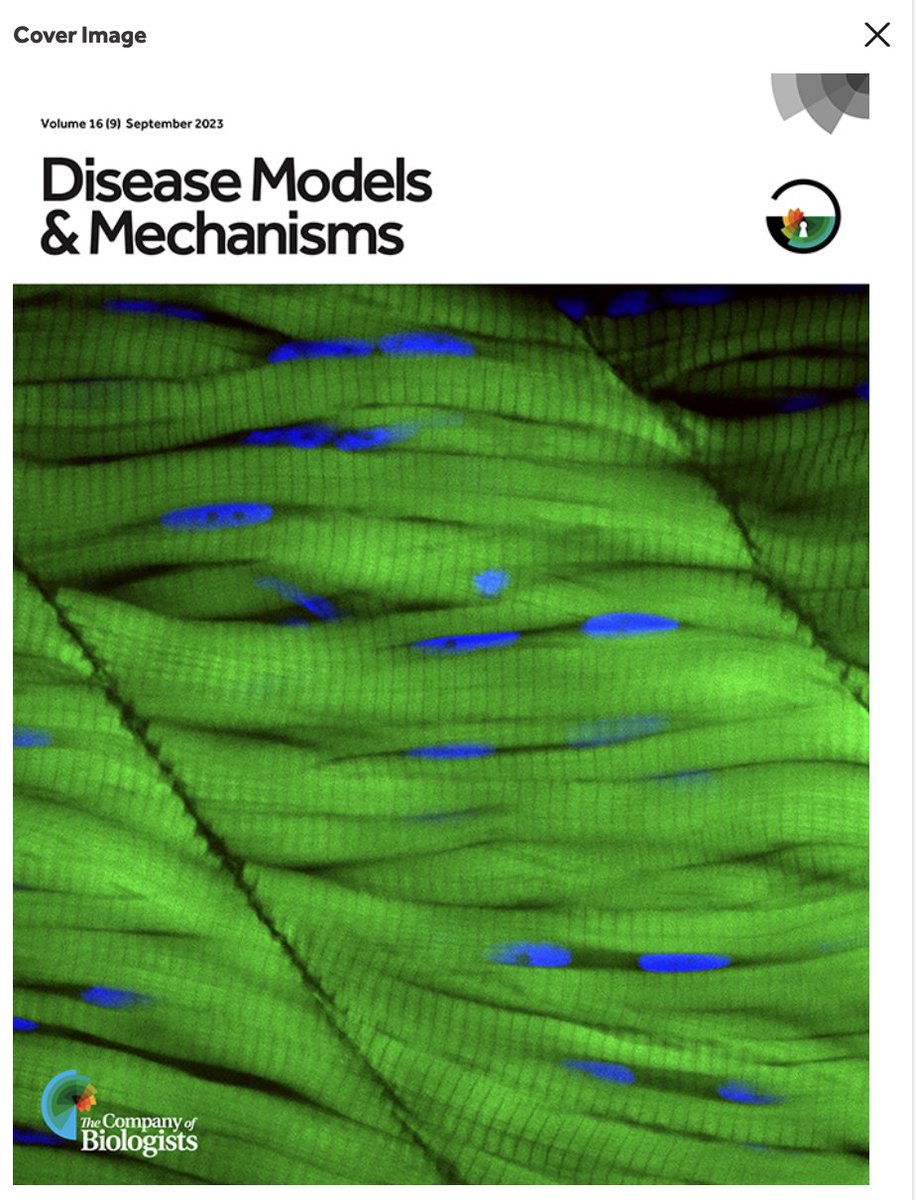 Thanks @DMM_Journal @Co_Biologists for featuring our image on the September cover page #skeletalmuscle  journals.biologists.com/dmm/article/16…