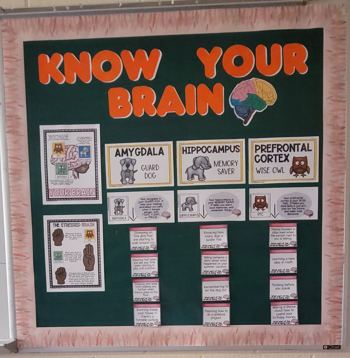 BeltzRob's tweet photo. Filling our spaces @NoviVillageOaks with the language of our nervous systems. We can tame what we can name. #VOHeart #novipride #aen https://t.co/w8NNMbqiak