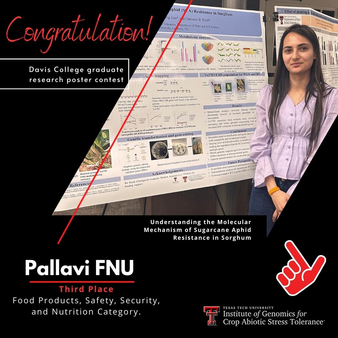 ttuigcast's tweet photo. Congratulations!!! #igcast #TTU
https://t.co/RJdIjg5mWP https://t.co/p2T6eFg3n1