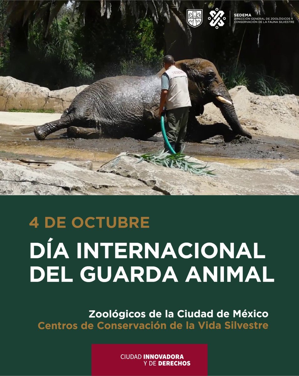ZoologicosCDMX's tweet photo. Hoy queremos felicitar a todas y todos los que dedican su tiempo, esfuerzo, trabajo y pasión por la fauna silvestre bajo cuidado. profesional. #ZoológicosCDMX https://t.co/L1b3T35fz1