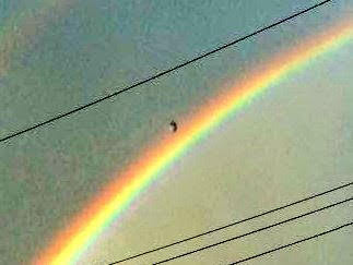 coreycomer38's tweet image. Hi,I took these like 5 years ago send to Mufon Canada classified uap,I was taking pic of 2 🌈, after reviewing pics saw this , timestamped,I edited bright one to bring out the details